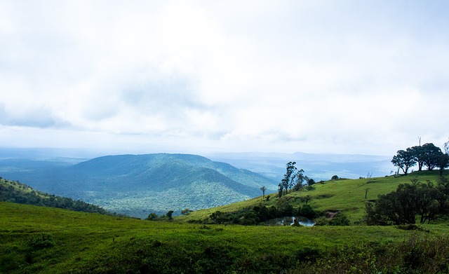 並最終因缺 並最終因缺