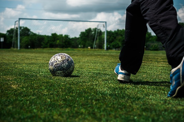 使他成为中 使他成为中