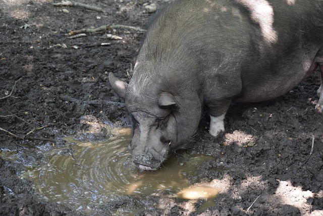 已經令人捏 已經令人捏