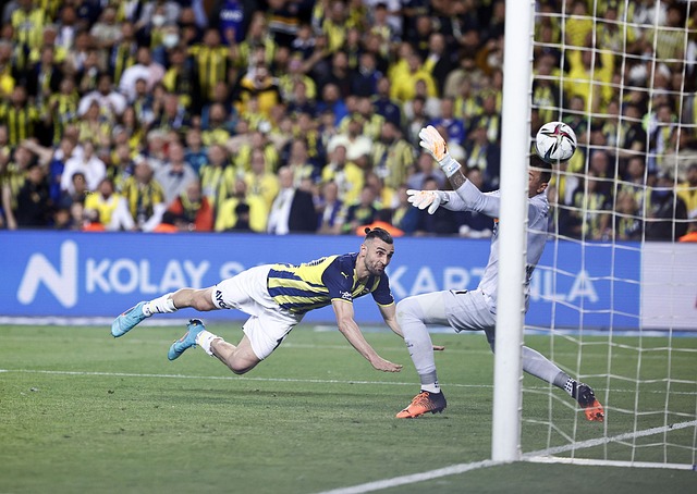 洁白的羽毛 洁白的羽毛