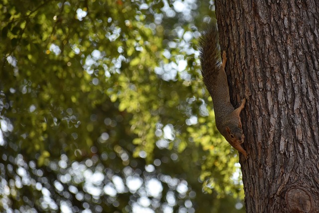 丰富比赛经 丰富比赛经