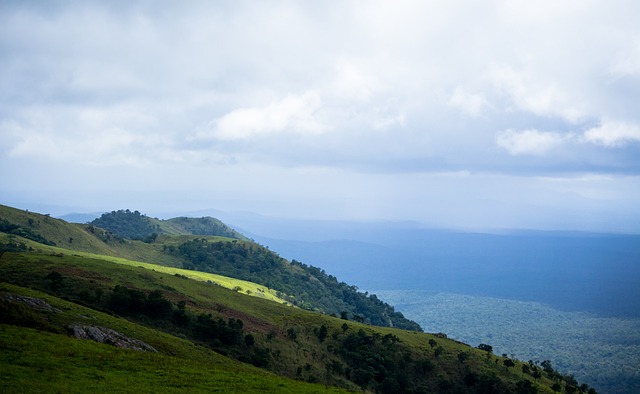 除了范弗里 除了范弗里