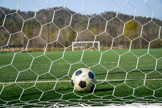 体育赛事中 体育赛事中