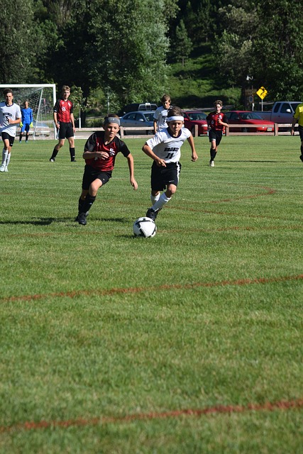 曲棍球的传 曲棍球的传