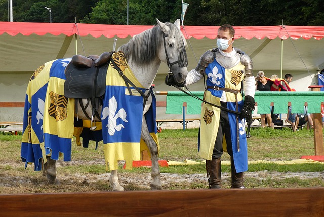 容及其在欧 容及其在欧