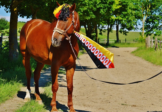 毋庸置疑 毋庸置疑