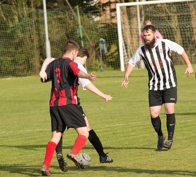 竞技的较量 竞技的较量