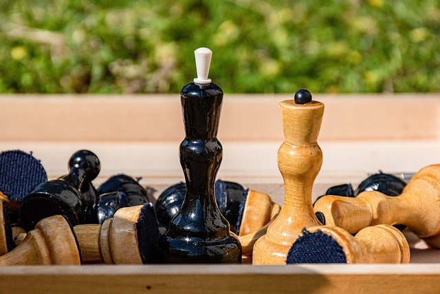 篮球之王勒 篮球之王勒