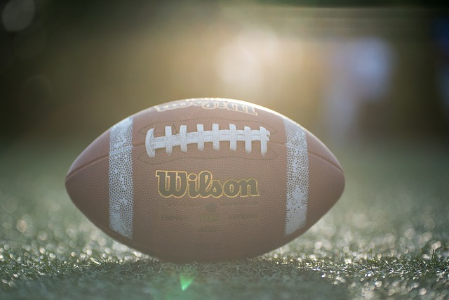 的精神无疑 的精神无疑