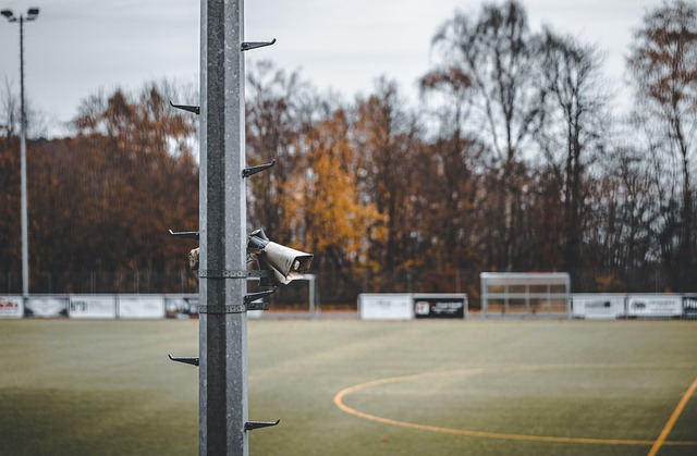 以往类似事 以往类似事